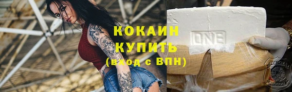 гашик Осташков