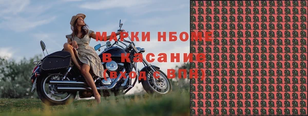 гашик Осташков