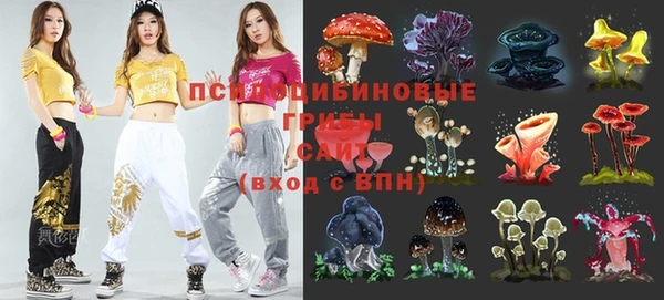 mdma Осинники