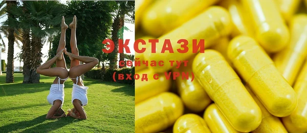 индика Губаха