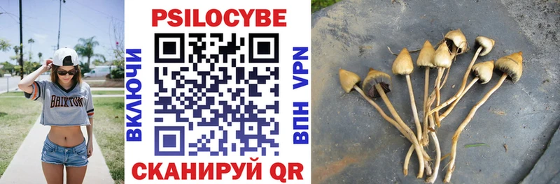 Псилоцибиновые грибы GOLDEN TEACHER  Сорочинск 
