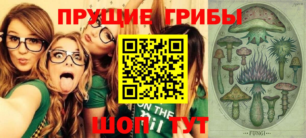 Галлюциногенные грибы Cubensis Сорочинск