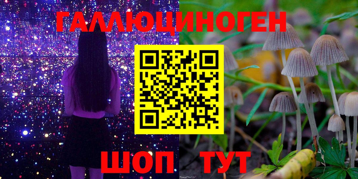 Галлюциногенные грибы MAGIC MUSHROOMS  Вход с VPN  Псилоцибиновые грибы мицелий  Сорочинск 